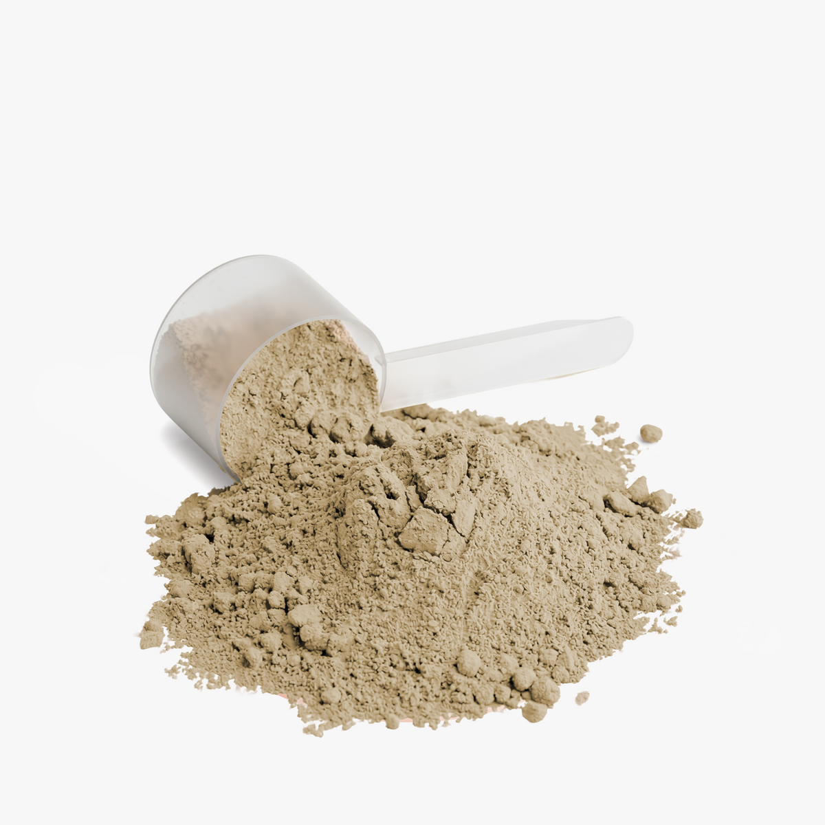 Longevity Performance Whey Protein Isolate Vanilla